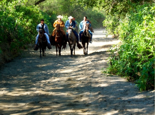  We are galloping